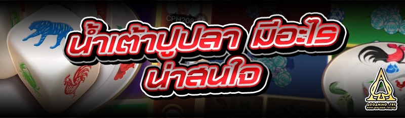 น้ำเต้าปูปลา มีอะไรน่าสนใจ