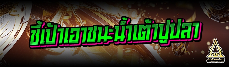 ชี้เป้าเอาชนะน้ำเต้าปูปลา