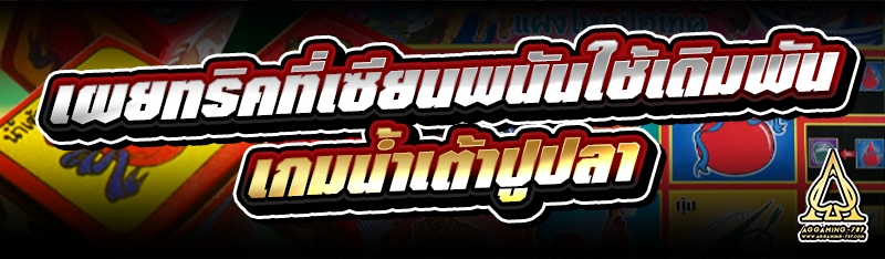 เผยทริคที่เซียนพนันใช้เดิมพัน เกมน้ำเต้าปูปลา