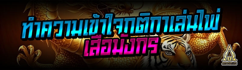 ทำความเข้าใจกติกาเล่นไพ่เสือมังกร